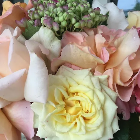 住宿加早餐酒店 斯海德尔豪华住宿加早餐旅馆 4*