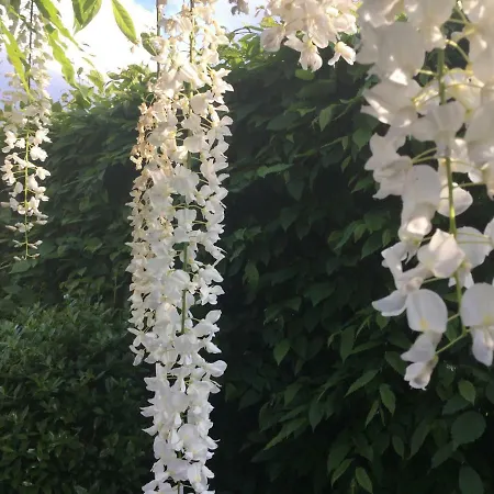 斯海德尔豪华住宿加早餐旅馆