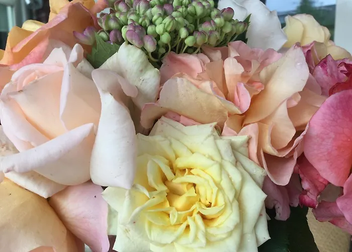 Bed and breakfast Lux 4*